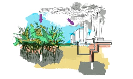Part of Microsoft’s carbon removal strategy is to store carbon underground.