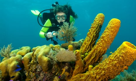 Female diver on coral reef in belize