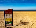 Hundreds of dead sharks and fish wash up on two beaches in Wales