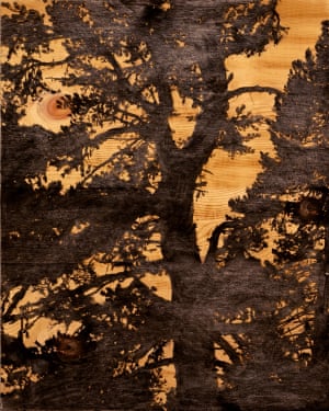 Resiliência nº. 001, Engandine (da série “Unseen Sights), 2022. Técnica: carvão sobre corte a laser em madeira arven. As questões de materialidade têm um papel central na série “Resilienza”. O ponto de partida é a madeira Engadine Arve. Semelhante à produção de um bloco de impressão, Mandry grava suas fotografias das florestas de Engadine em painéis de madeira. A madeira funciona tanto como motivo pictórico como portador de imagens.