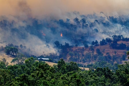 Smoke rises from a burning forest on a hillside near Longwood