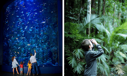 Cairns Aquarium; Daintree Rainforest