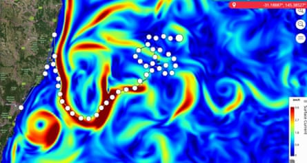 Loggerhead turtle tracking overlaid over ocean currents off New South Wales, Australia.