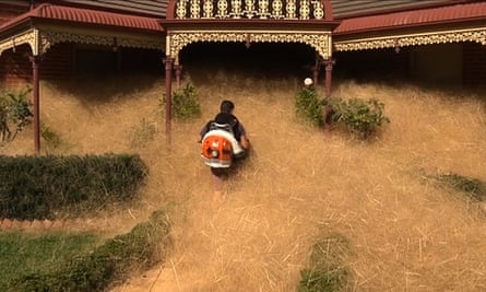 A man clearing out fast-growing tumbleweed from a home in the town of Wangaratta.