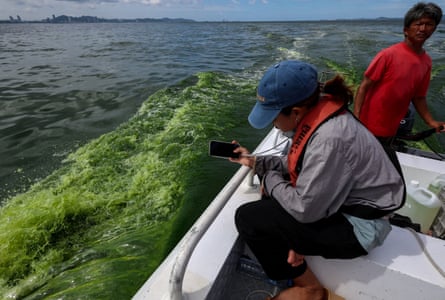 A marine scientist from Kasetsart University takes a photo of the green sea water caused by the plankton bloom.