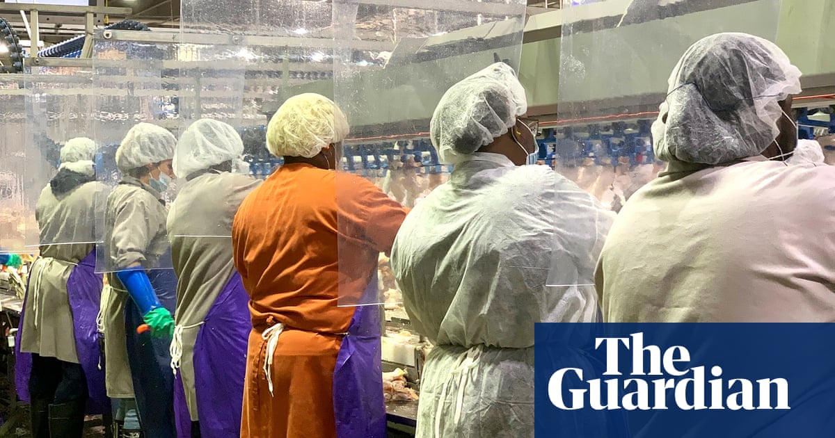 Trump officials and meat industry blocked life-saving Covid controls, investigation finds