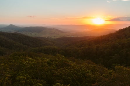 Aerial view over forest canopy with a sun setting in the distance