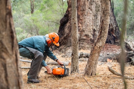 Ken wields his chainsaw