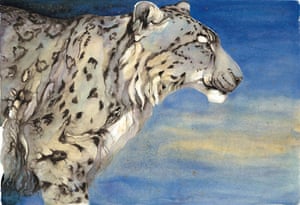 morris jackie snow animals watercolour 1961 painter leopard artilo illustration british tutt books bear artist guardian tweet