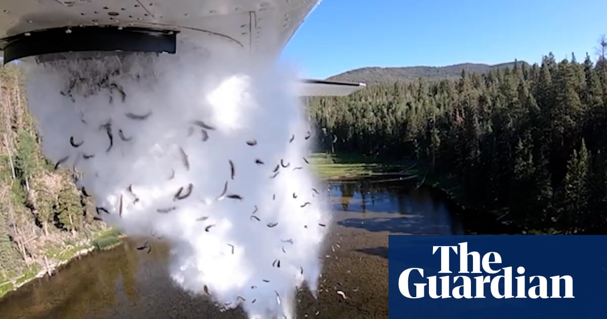 Fish dropped from planes as part of annual aerial lake stocking in Utah – video