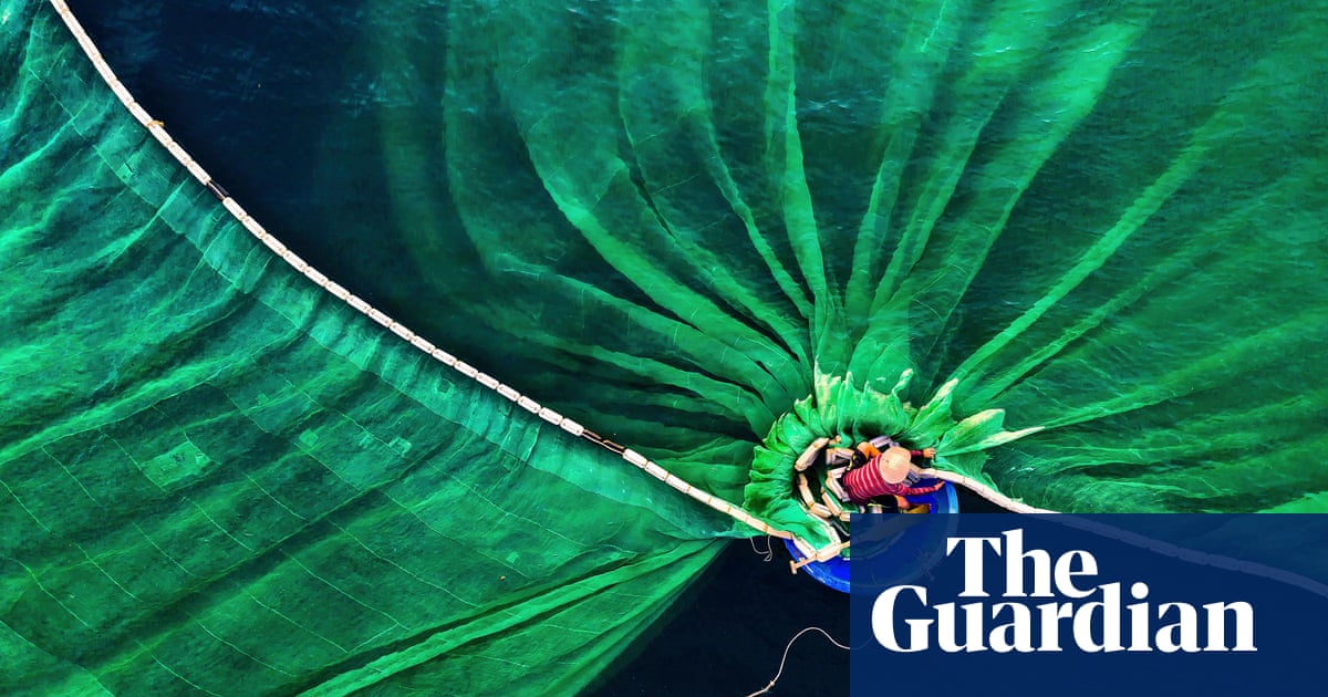Nature Conservancys Global Photo Contest Winners 2019 Environment