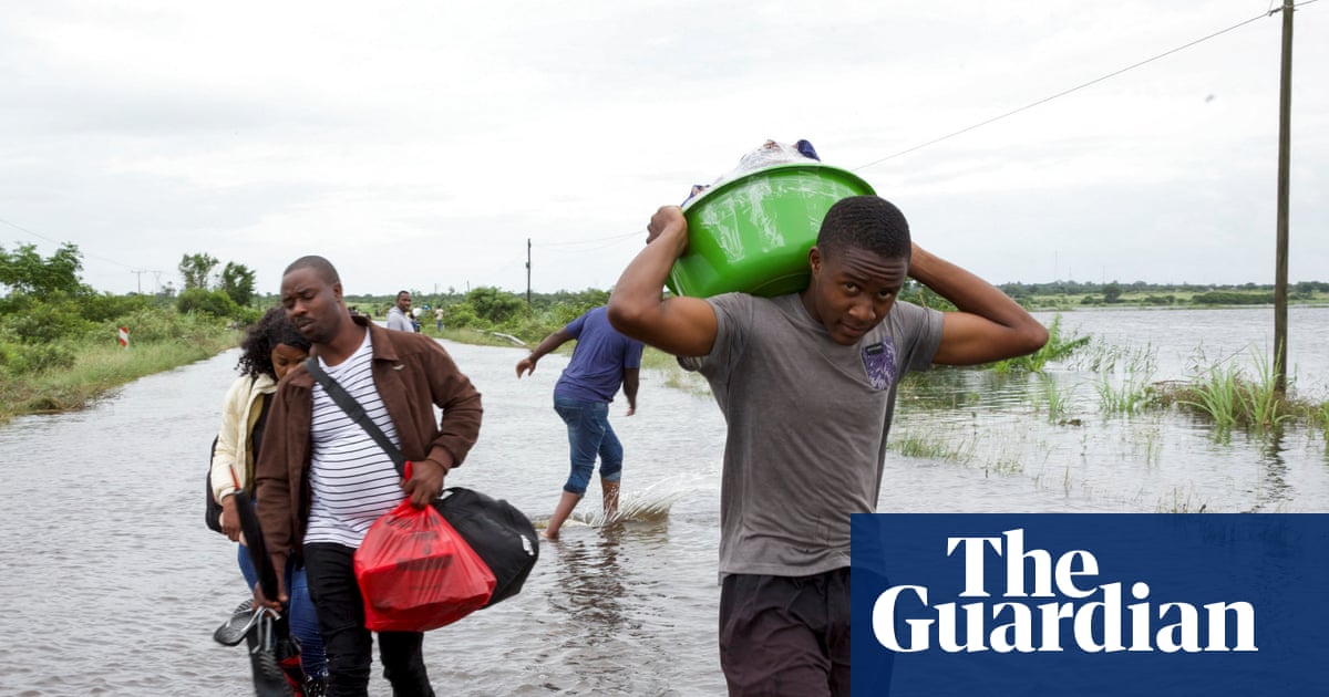 Crocodile warnings as floods devastate southern Africa
