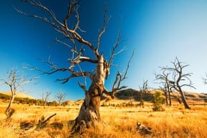 Lake Eildon in Victoria, Australia