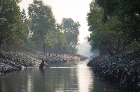 A woman seen fishing early morning in a river in Sundarbans forest.