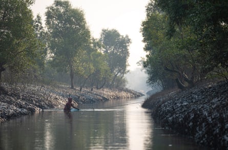 A woman seen fishing early morning in a river in Sundarbans forest.