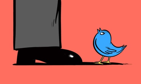 Bird tweeting at a person.