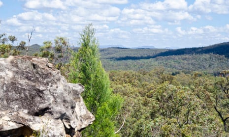 Whitehaven will investigate sites for a mine extension under the edges of the Pilliga state conservation area
