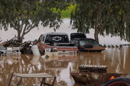 Cars and parts flooded underneath trees.