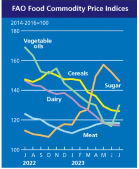 A chart showing global food prices