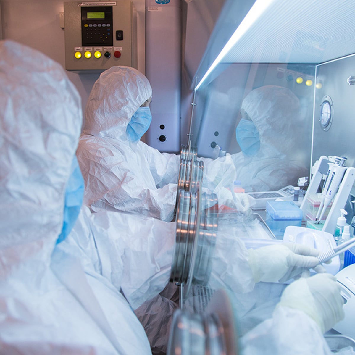 Could AI ‘change the stakes’ in the development of bioweapons?