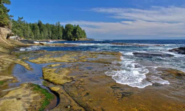 Get Why Do Human Feet Keep Washing Ashore In British Columbia World For Android Free Get Wallpaper Why Do Human Feet Keep Washing Ashore In British Columbia World For Free