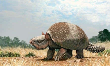 The five: extinct megafauna | Extinct wildlife | The Guardian