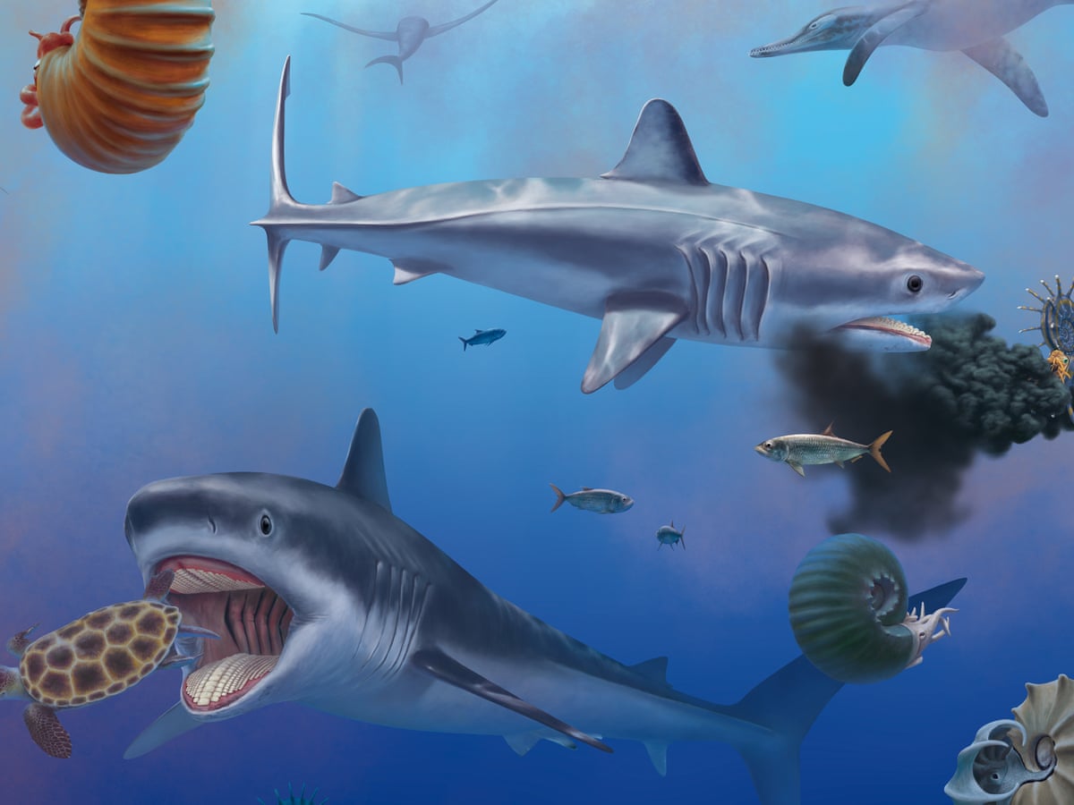 Giant Prehistoric Shark
