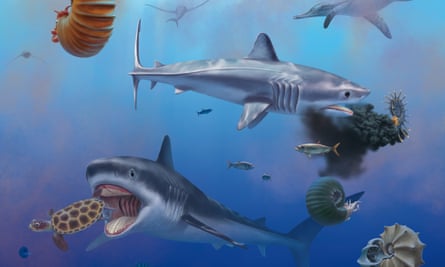 A digital rendering of what a giant prehistoric shark looked like