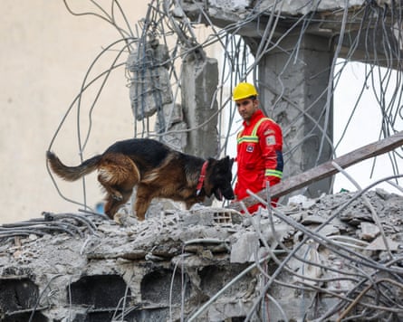 A rescue worker and dog surrounded by rubble and twisted metal