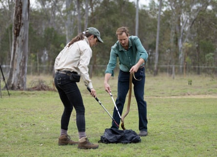 Joe receives close guidance from Christina Zdenek while handling an inland taipan.