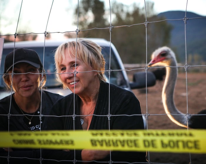 Canada: order to cull more than 400 ostriches over bird flu fears ruffles feathers