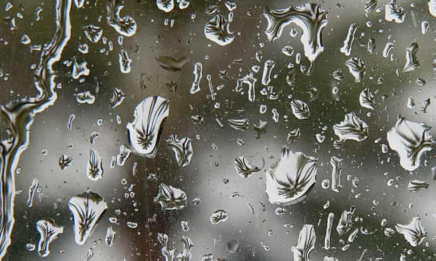 Drops of water on a pane of glass reflect a palm tree.