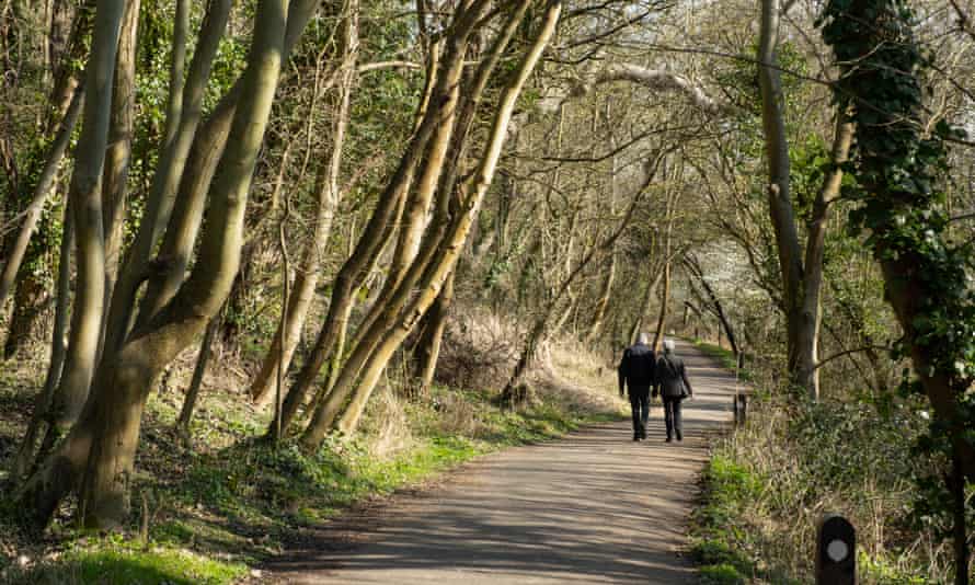 Public pathway called the Thicket.