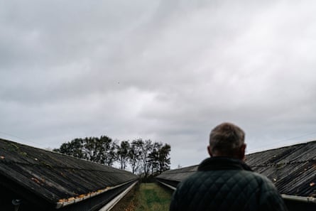 Martin Merrild standing in front of his mink sheds.