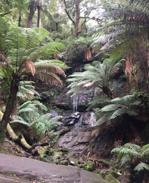 A waterfall tucked away in Tarra valley rainforest