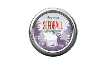 Seedball gift box