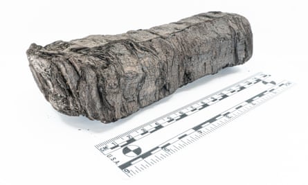 The charred scroll on a white surface next to a ruler