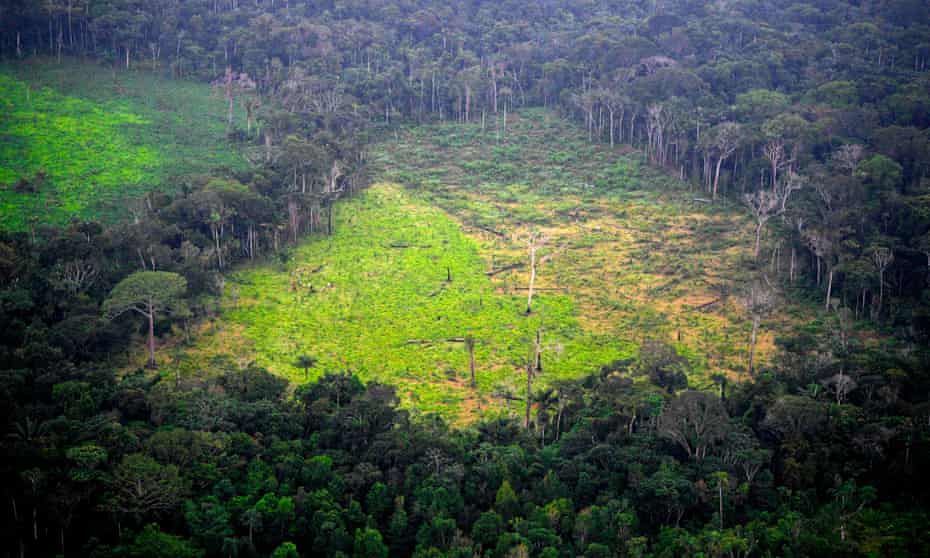 A deforested coca field in Colombia