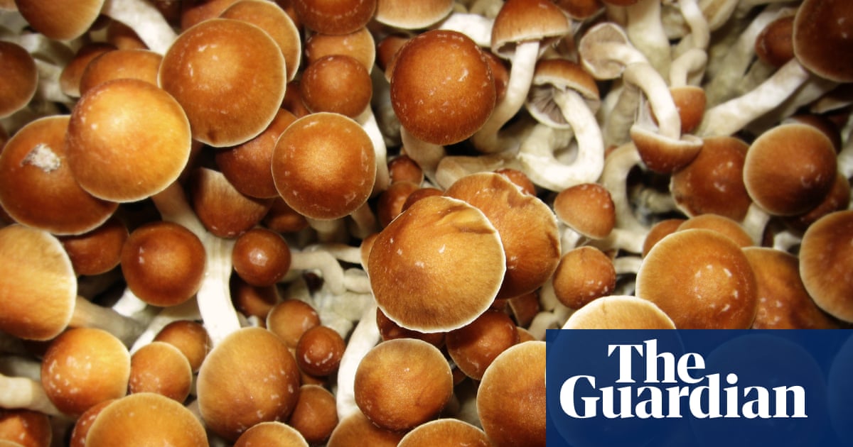 Psychedelic drug research held back by UK rules and attitudes, say scientists