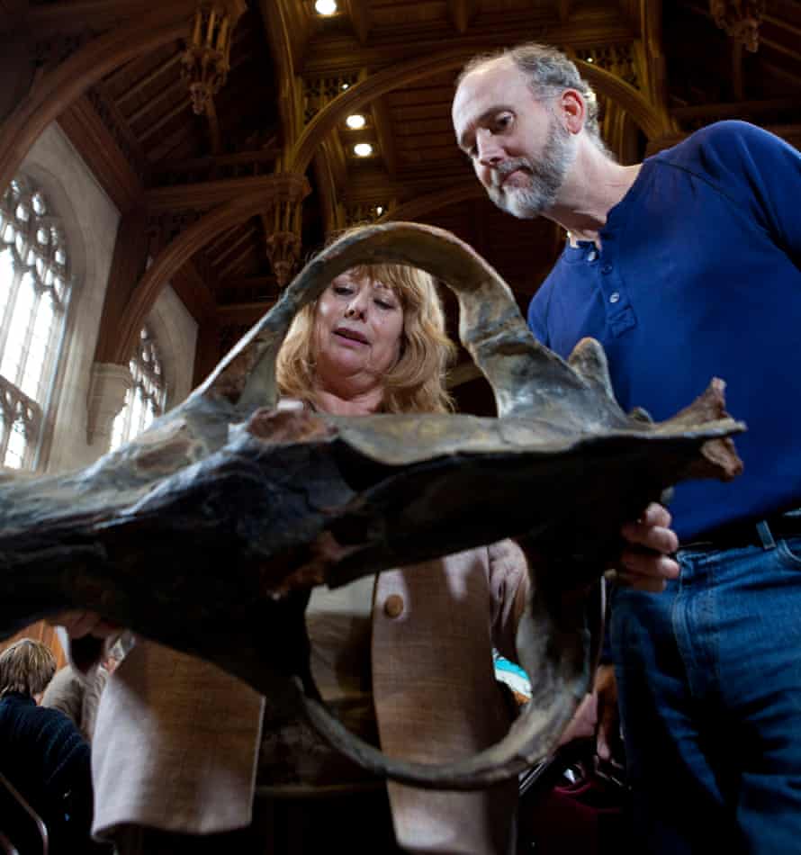 Two palaeontologists handle the skull of a Megistotherium a creodont that lived 24 million years ago, and one of the largest terrestrial carnivorous mammals that ever existed.