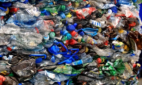 Creating a circular economy through compostables
