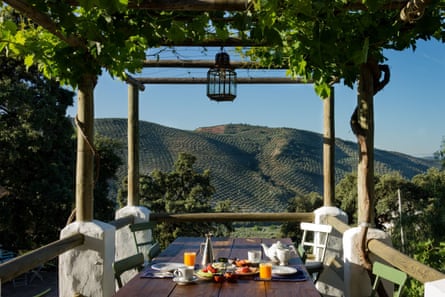 A wooden table under a leafy pergola set for breakfast with sunny mountain views