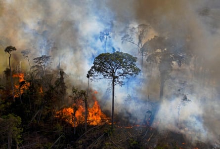 Fire spreading through an area of the Amazon rainforest in Brazil