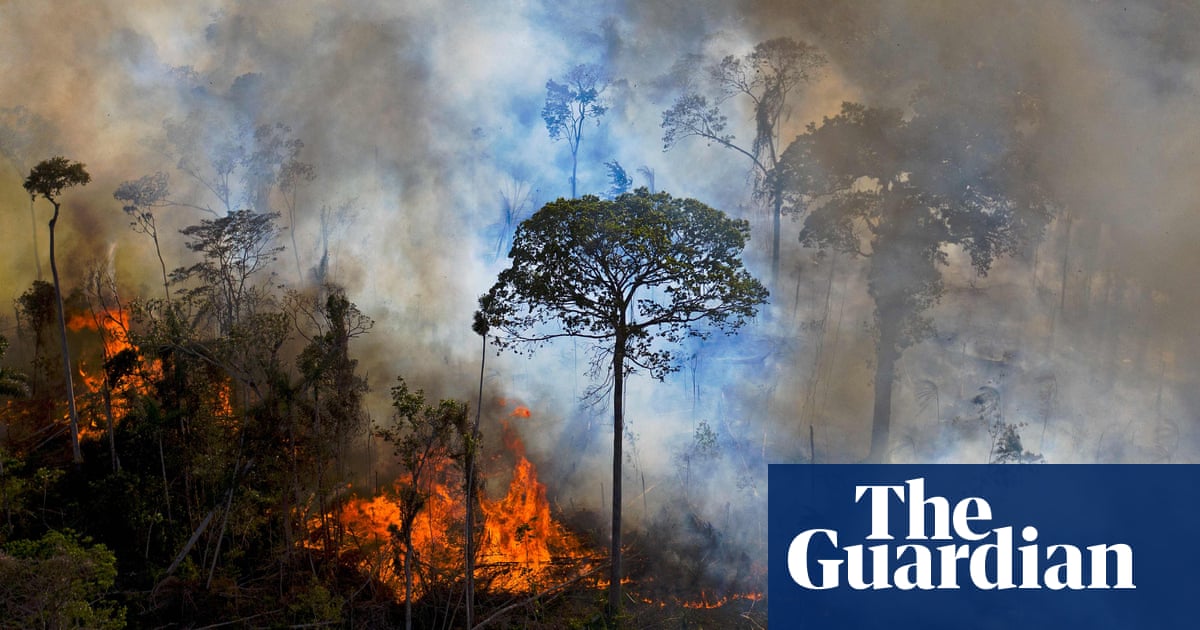 Do not trust Brazil’s ‘greenwashing’ promises, say Amazon activists