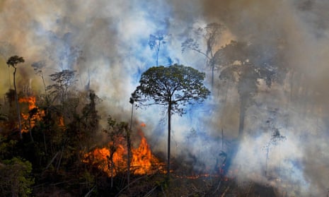Fire burning through Amazon rainforest.