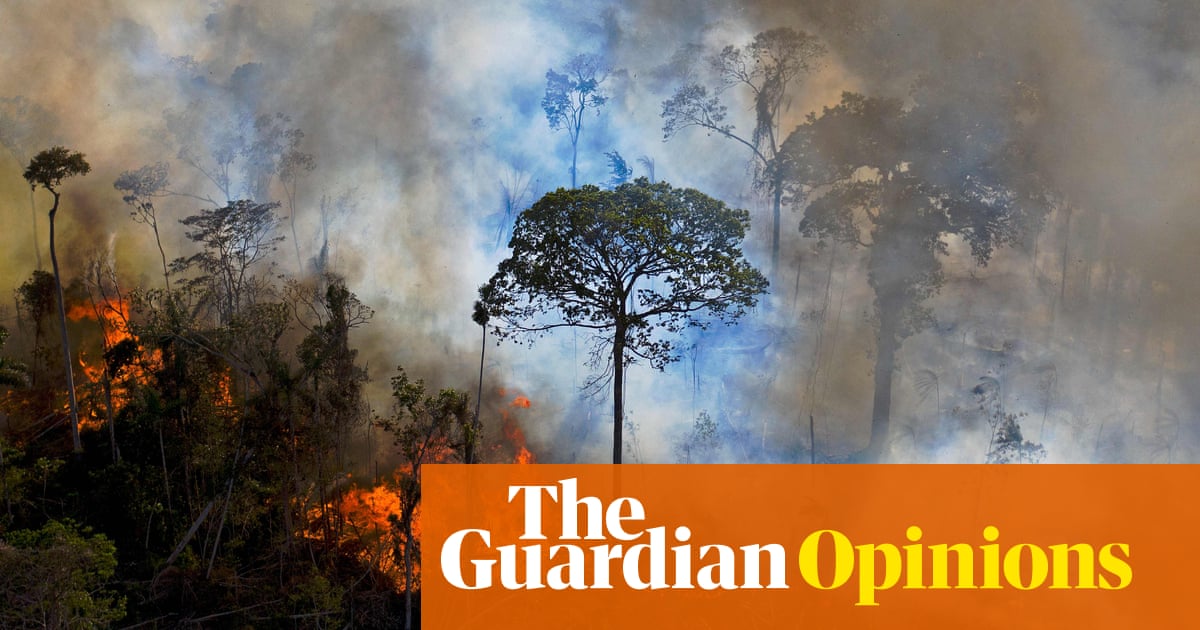 Tackling deforestation must be at the heart of our response to the climate crisis