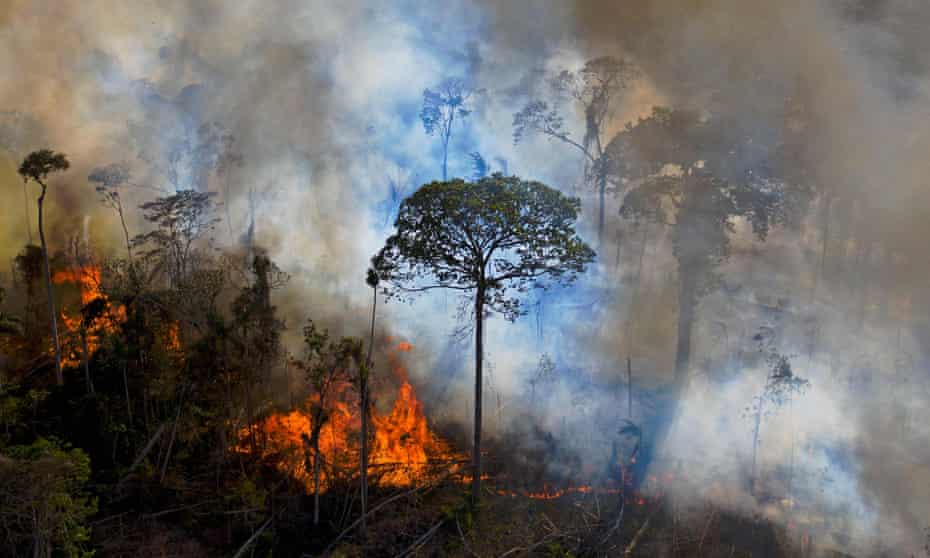 An illegally lit fire in an Amazon rainforest reserve, south of Novo Progresso in Para state, Brazil, August 2020.