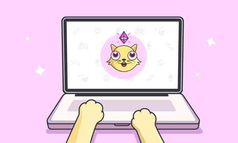 Cryptokitties are a type of NFT that was set up in 2017 by the Canadian startup Dapper Labs.