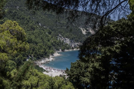 A view through dark green trees, including very tall coniferous trees, to a sandy bay around a deep blue sea. There are people on the beach.