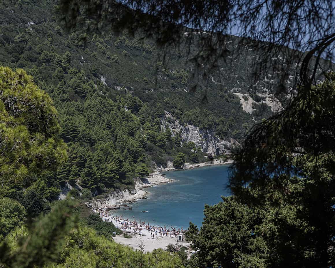 aerial view of a beach